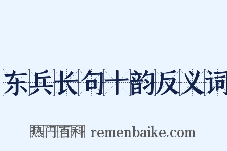 东兵长句十韵反义词是什么意思的图片
